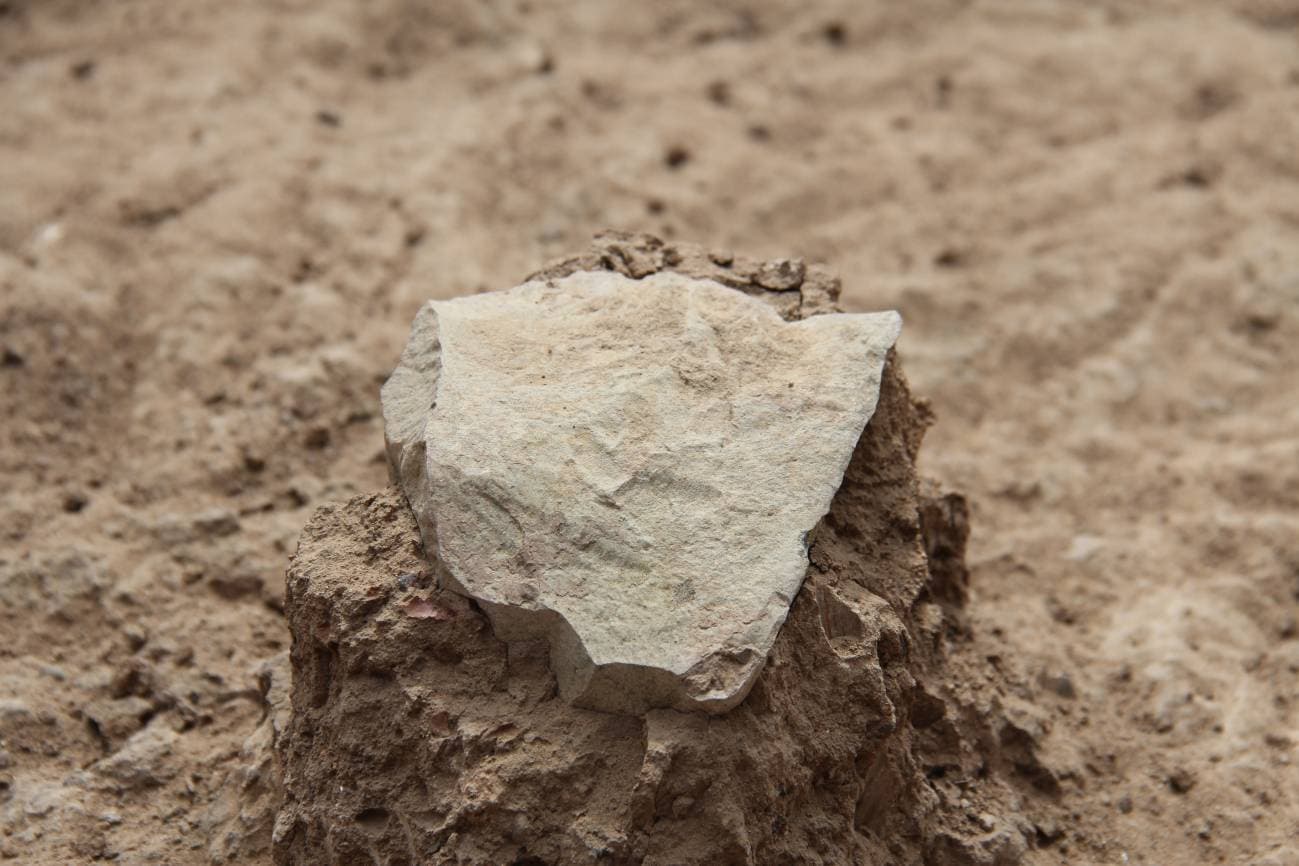 A flaked stone tool from Lomekwi 3, Kenya, resting on the earth at the excavation site.