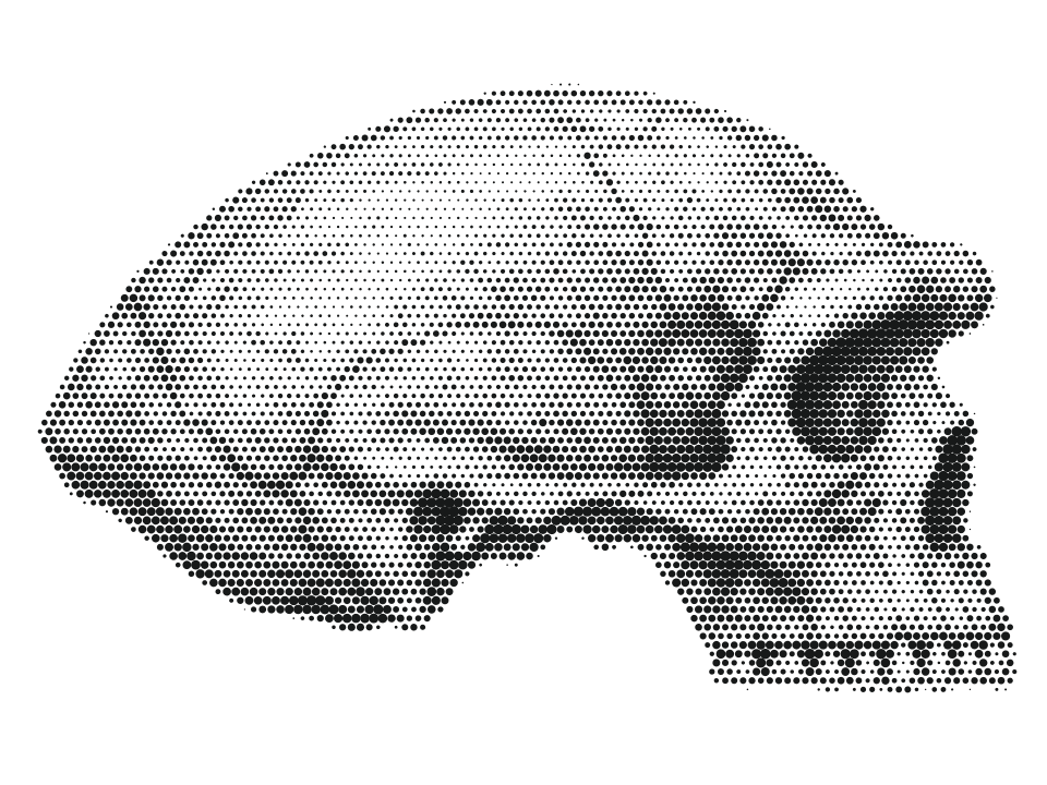 Erectus, stippled skull in side view