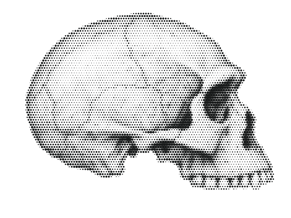 Flores, stippled skull in side view