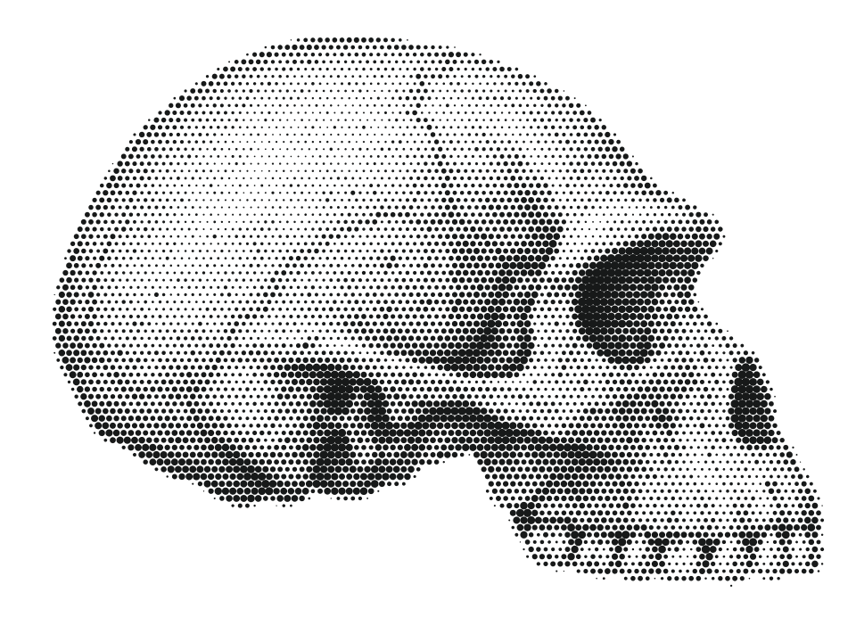 Habilis, stippled skull in side view
