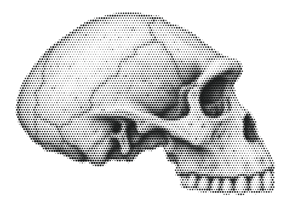 Lucy, stippled skull in side view