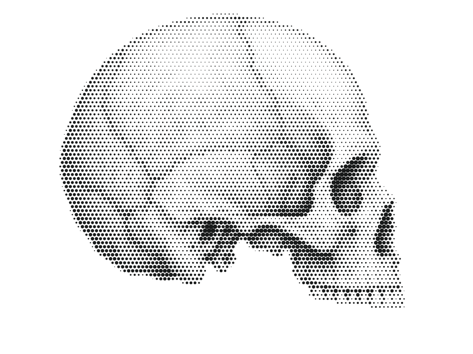 Sapiens-1, stippled skull in side view