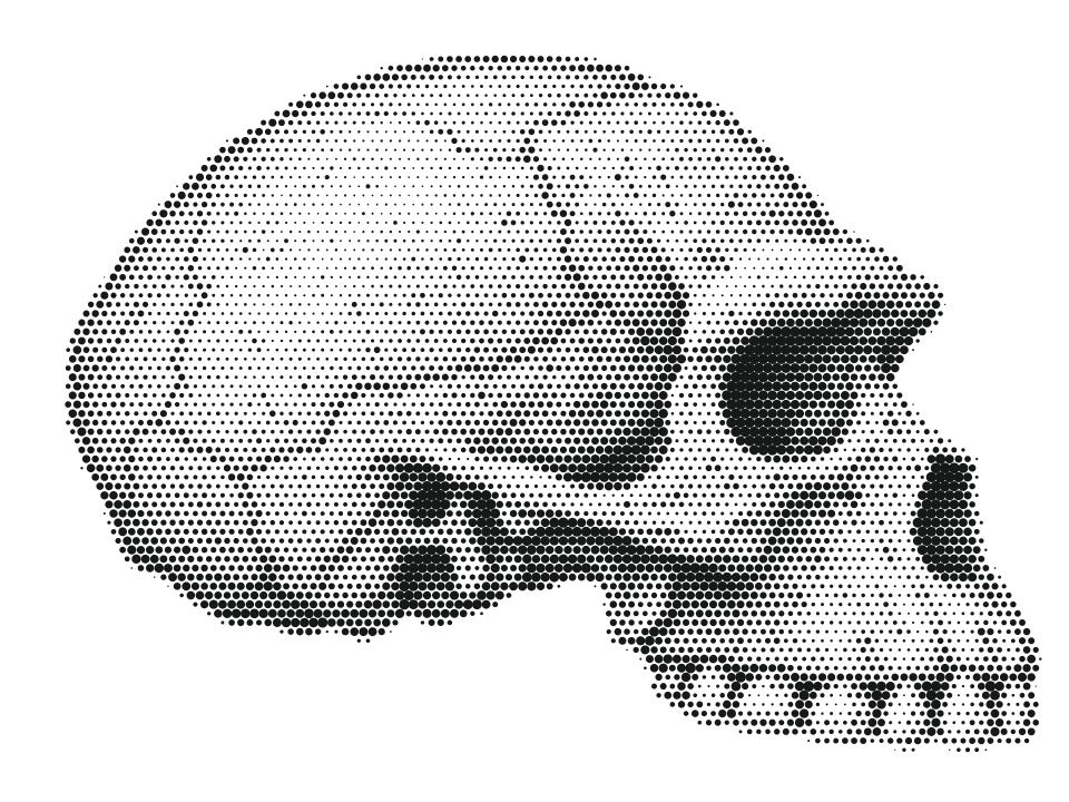 Toumaï, stippled skull in side view